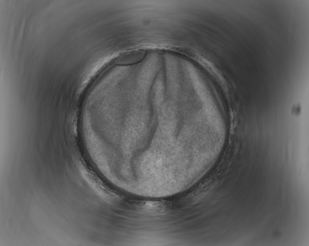 X0000115510060200912041111