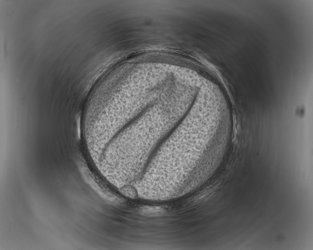 X0000115510061200912041111