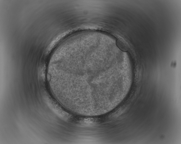 X0000115510064200912041111