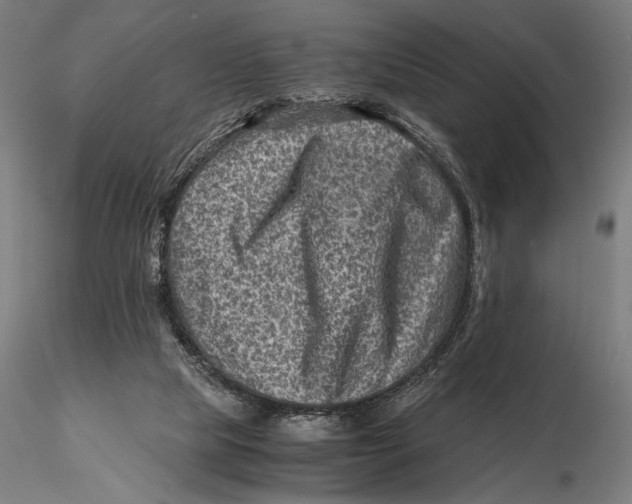 X0000115510065200912041111