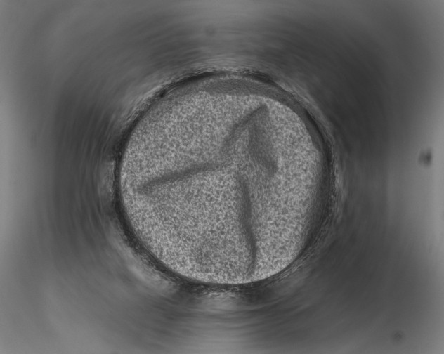 X0000115510066200912041111