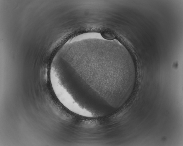 X0000115510067200912041111