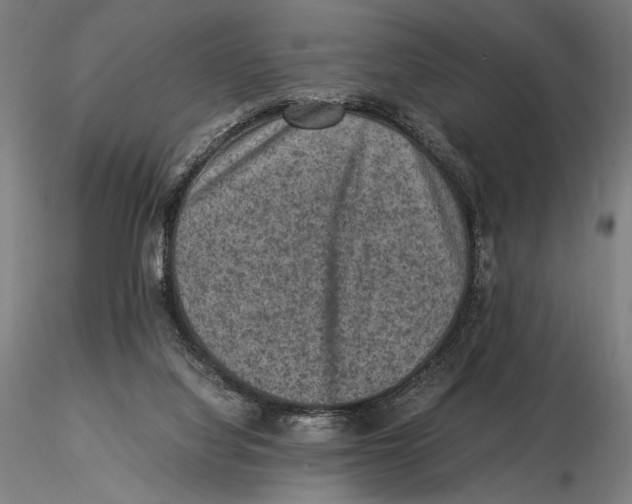 X0000115510068200912041111