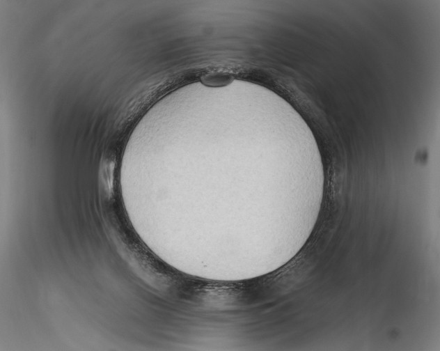 X0000115510070200912041111