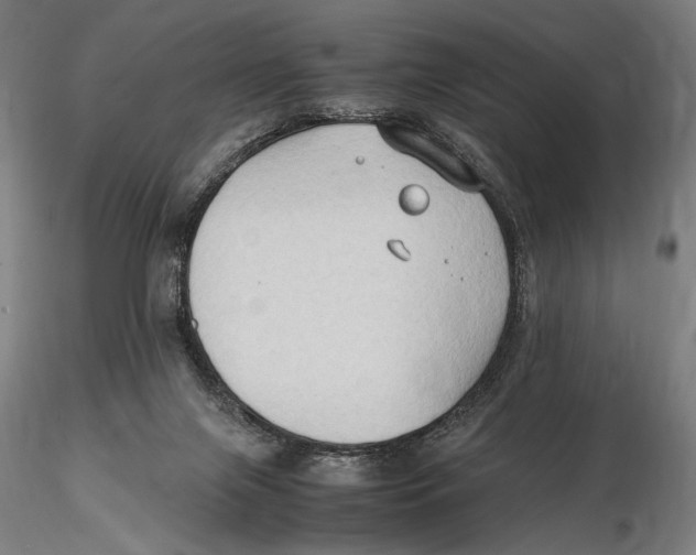 X0000115510071200912041111