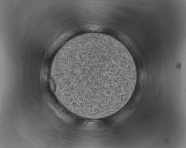 X0000115510072200912041111