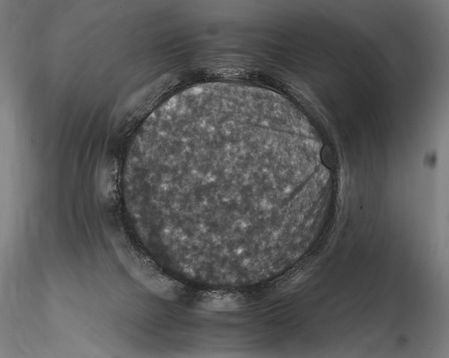 X0000115510073200912041111