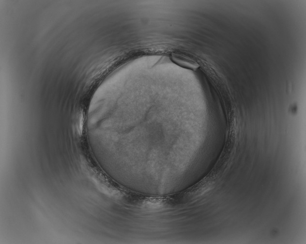 X0000115510076200912041111