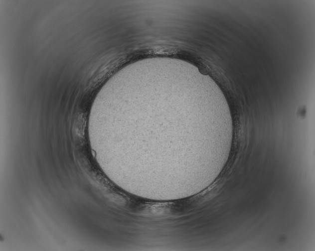 X0000115510078200912041111