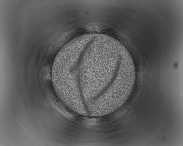 X0000115510081200912041111