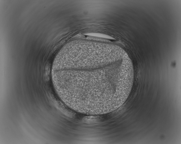 X0000115510082200912041111