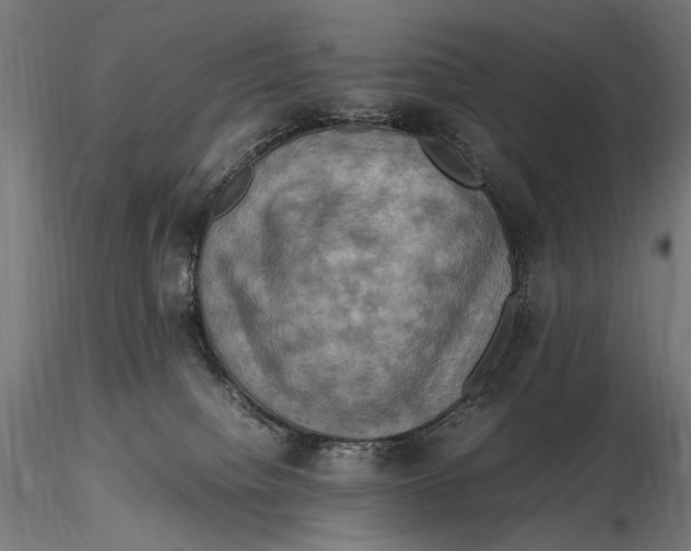 X0000115510084200912041111