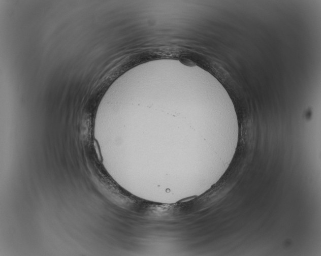 X0000115510092200912041112