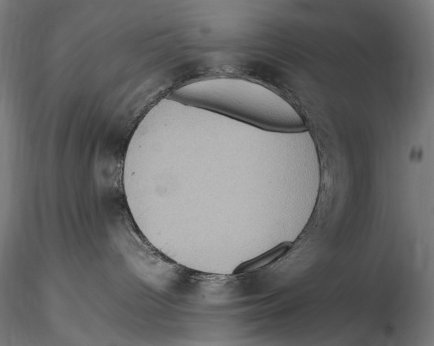 X0000115510096200912041112