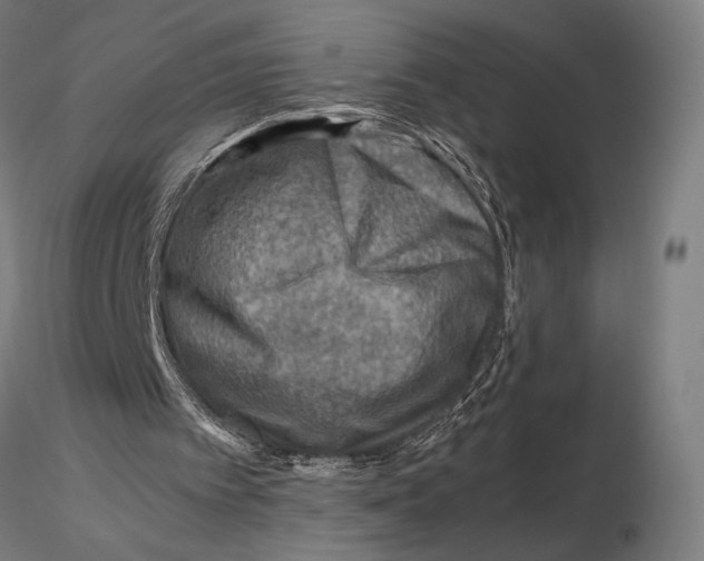 X0000115510097200912041111