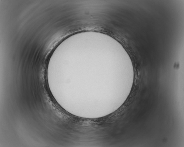 X0000115510098200912041111