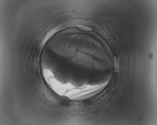 X0000115510099200912041111