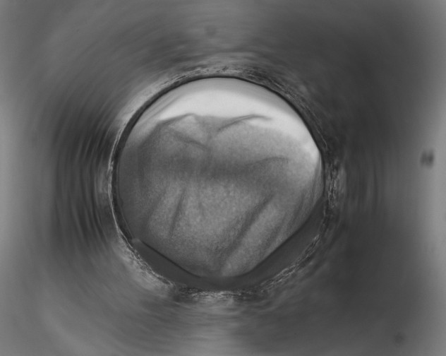 X0000115510100200912041111