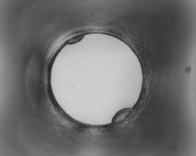 X0000115510103200912041111