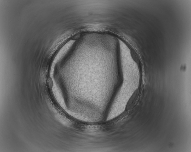 X0000115510105200912041111