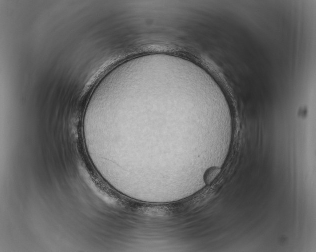 X0000115510106200912041111