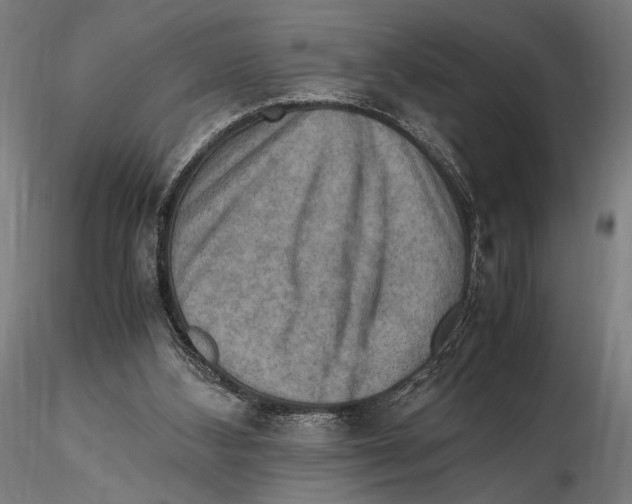 X0000115510108200912041111