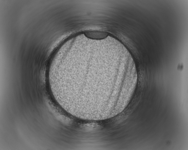 X0000115510112200912041111