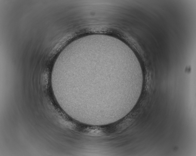 X0000115510113200912041111