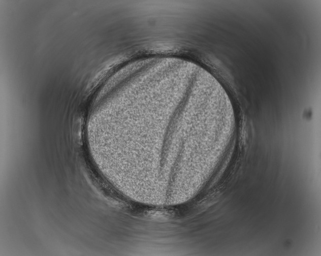 X0000115510115200912041111