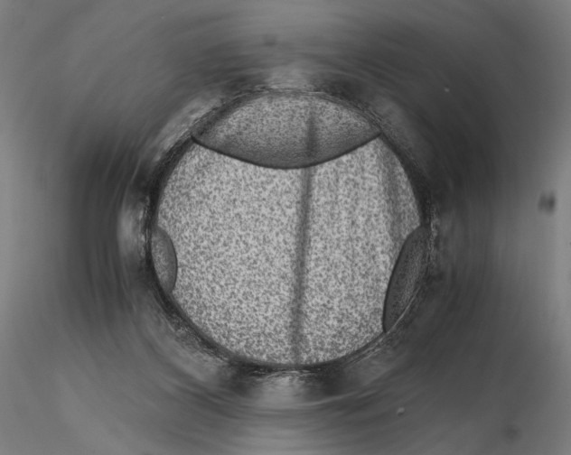 X0000115510116200912041111