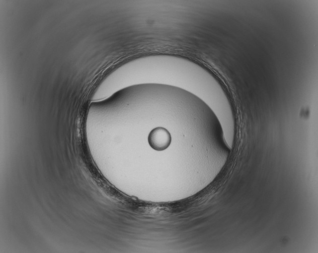 X0000115510117200912041111