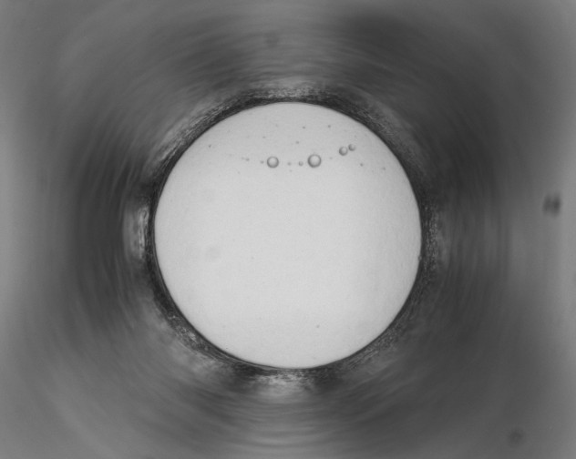 X0000115510118200912041111