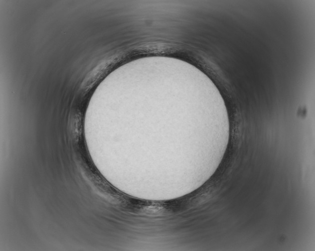 X0000115510119200912041110