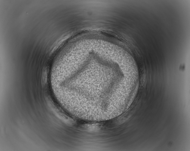 X0000115510120200912041110