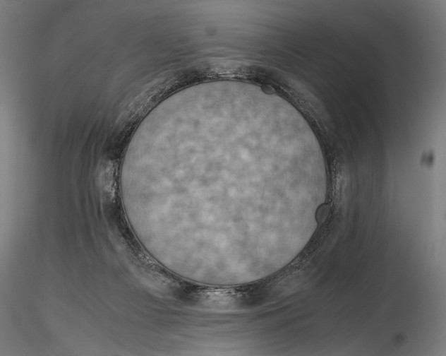 X0000115510121200912041110