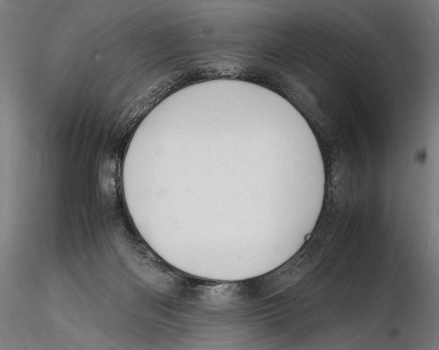 X0000115510122200912041110