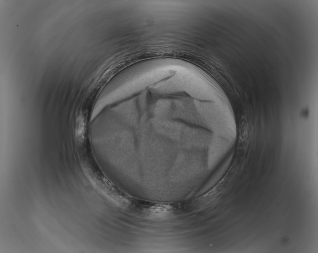 X0000115510124200912041110