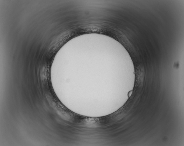 X0000115510126200912041110