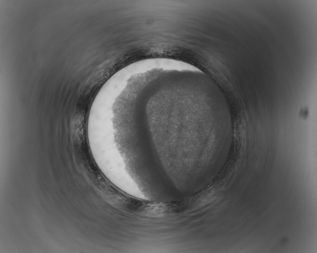 X0000115510127200912041110