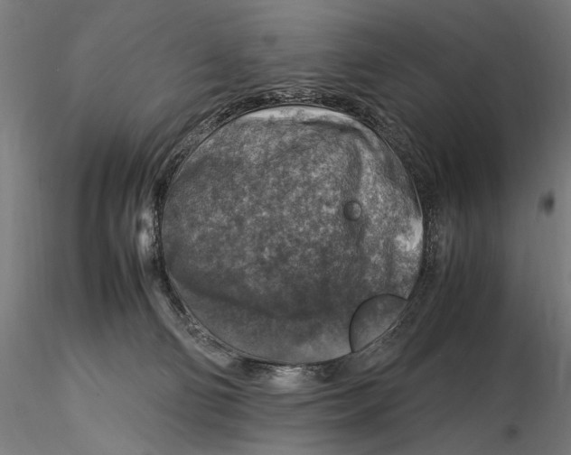 X0000115510130200912041110