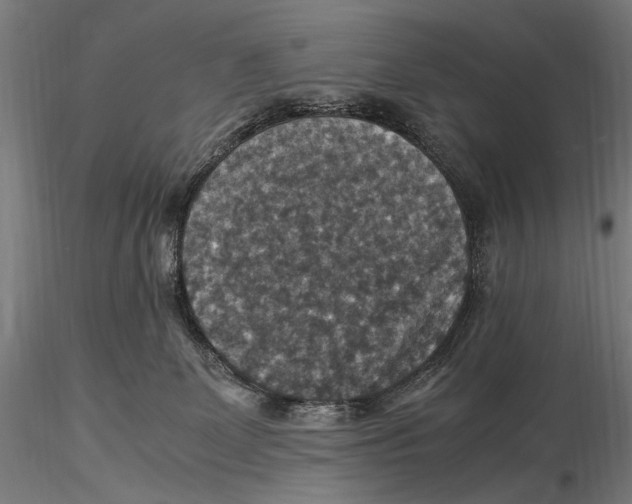 X0000115510131200912041110