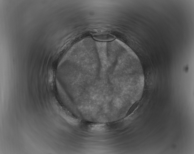 X0000115510132200912041110