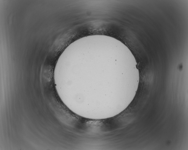 X0000115510133200912041110