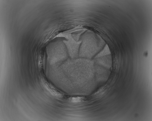 X0000115510134200912041110