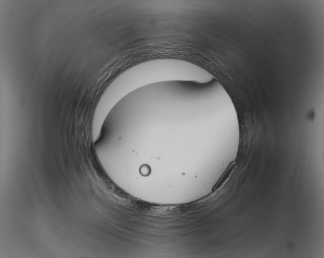 X0000115510136200912041110