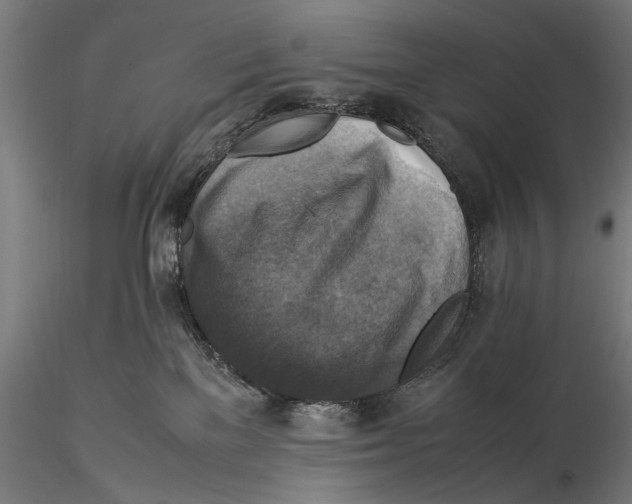 X0000115510137200912041110