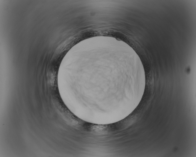 X0000115510139200912041110