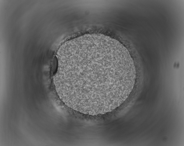 X0000115510144200912041110