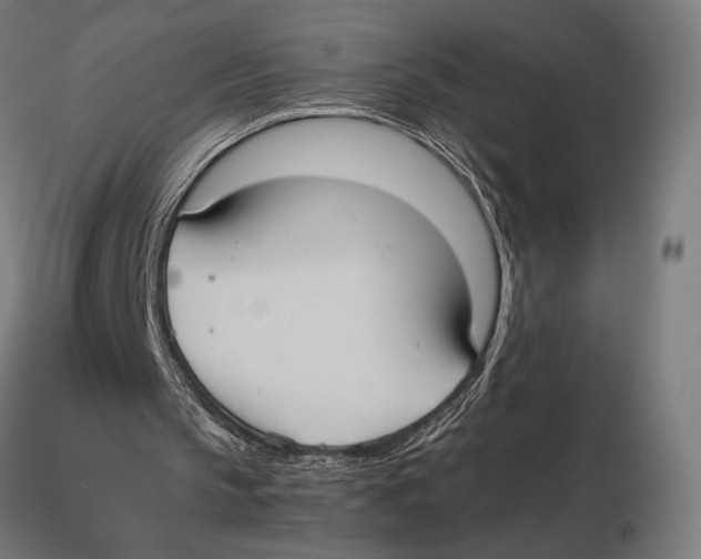 X0000115510145200912041109