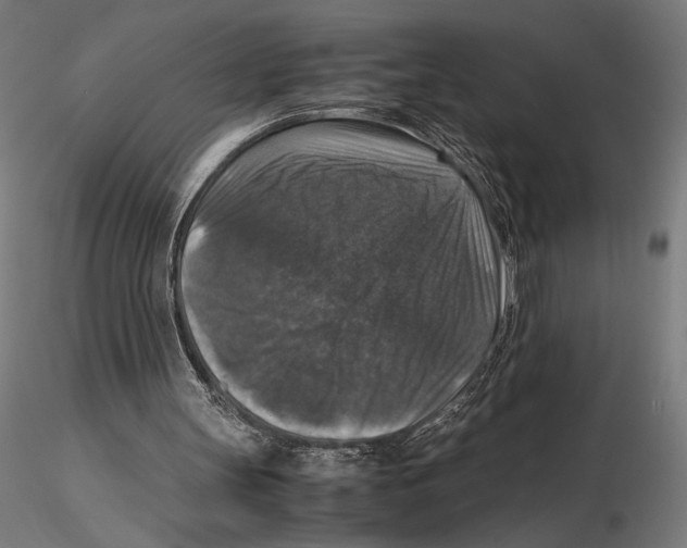 X0000115510147200912041110